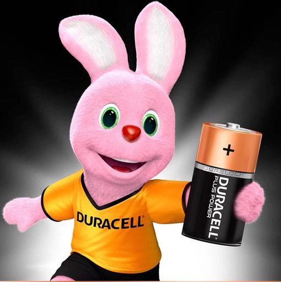 10 piles Duracell Plus Power C2 LR14