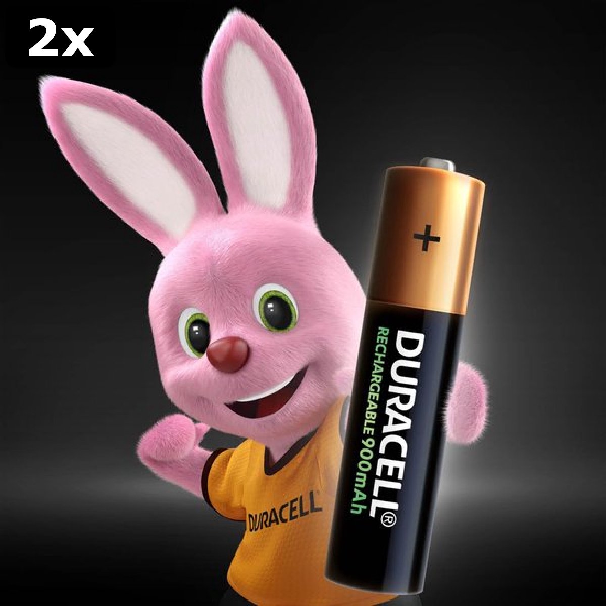 2 piles rechargeables Duracell AAA 900 mAh - 4 pièces