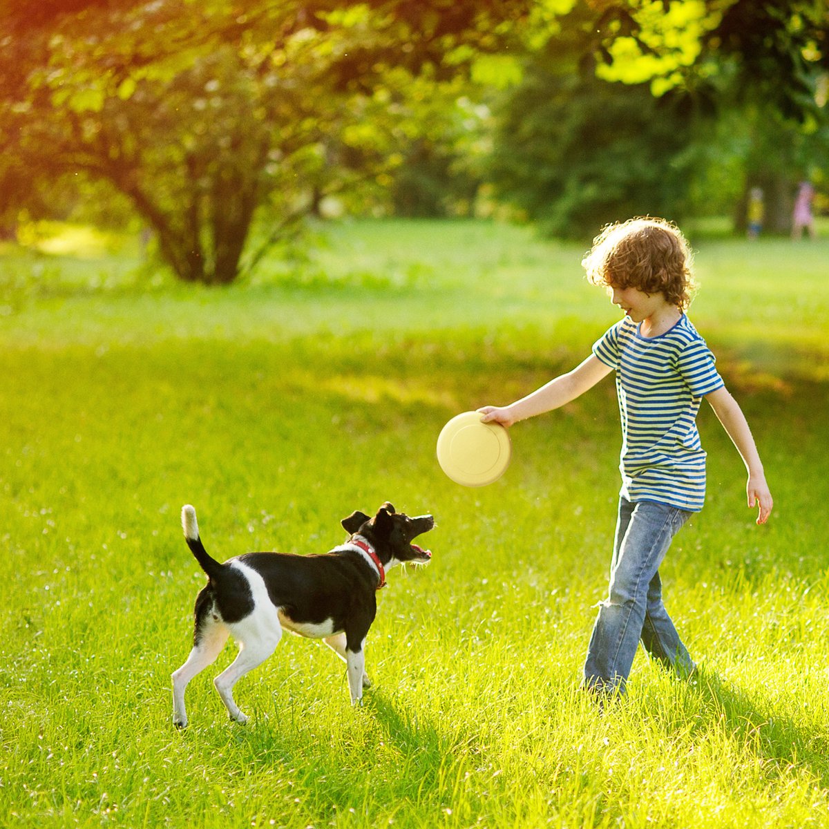 12 Frisbees colorées - Choix de couleurs vives, soucoupes volantes - Amusement idéal pour les adultes et les enfants.